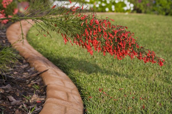 Brick Edging in Concord