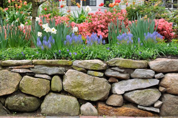 Stone Wall Hardscaping in Concord